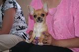 ADULTE ET CHIEN 400